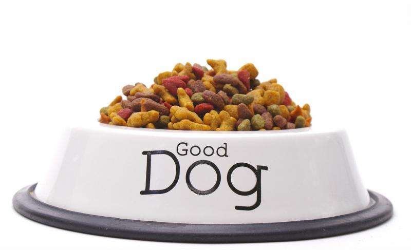 dog food production line dog food production line