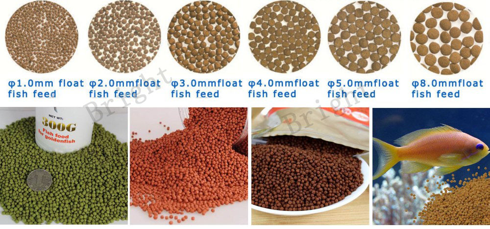 Twin-screw extruder fish feed Twin-screw extruder fish feed